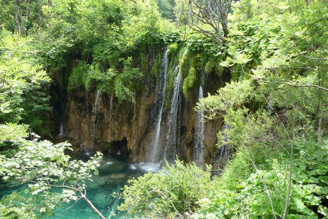 P1010027.JPG