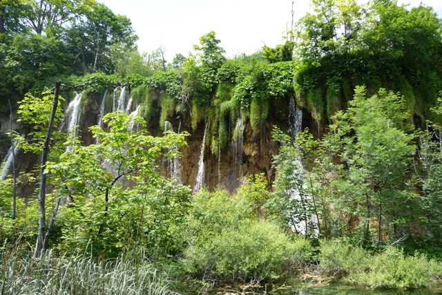 P1010031.JPG
